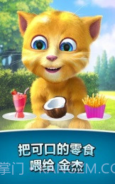 会说话的金杰无限金币版截图1 会说话的金杰无限金币版截图1