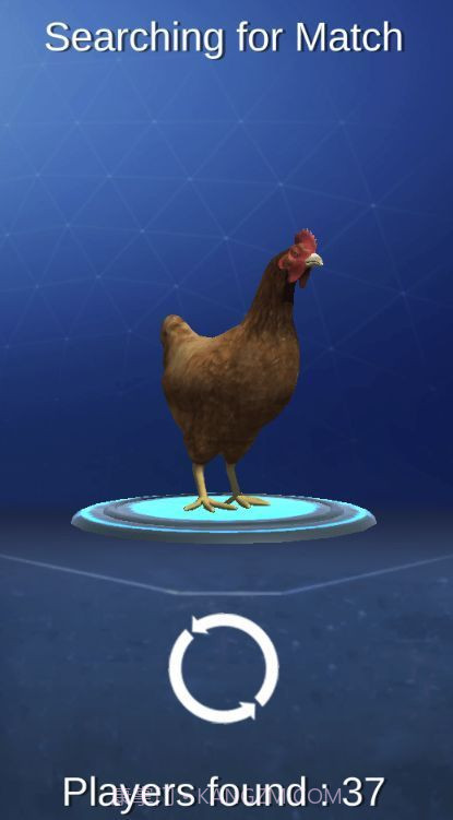 公鸡模拟器中文版截图3 公鸡模拟器中文版截图3