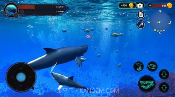 抹香鲸模拟器截图1 抹香鲸模拟器截图1