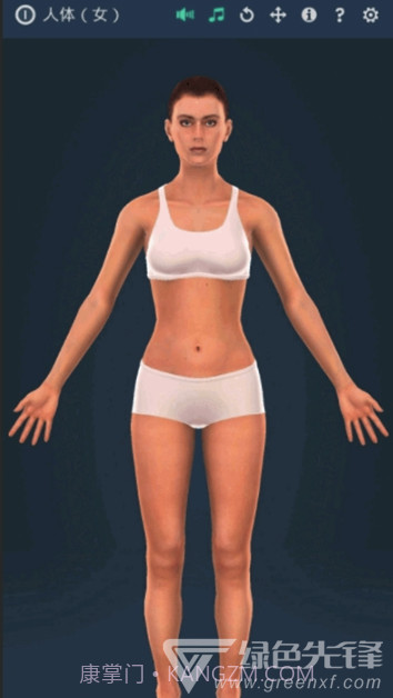 人体系统女性3D软件(专业3D人体结构)V1.1 安卓最新版截图2