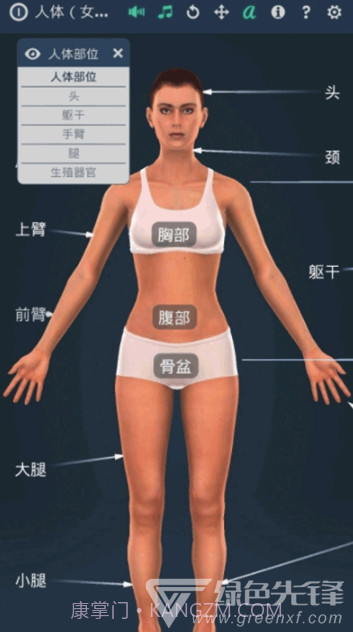人体系统女性3D软件(专业3D人体结构)V1.1 安卓最新版截图3
