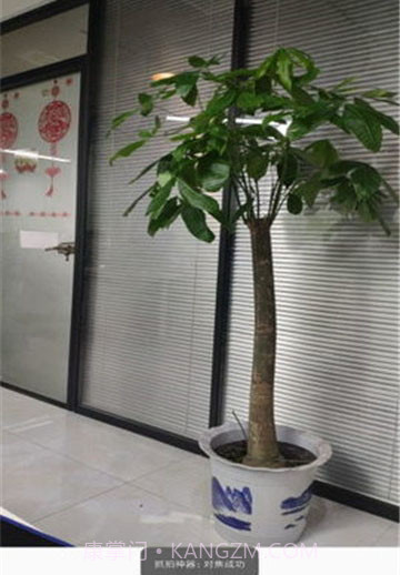 抓拍神器截图3 抓拍神器截图3