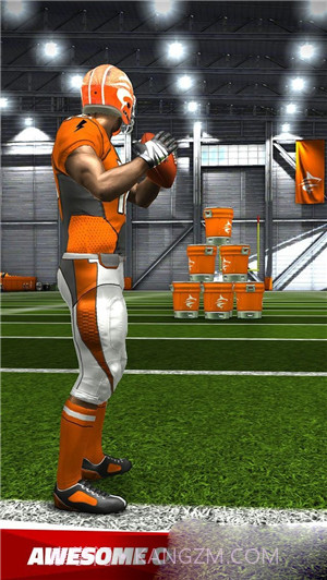 四分卫橄榄球截图1 四分卫橄榄球截图1