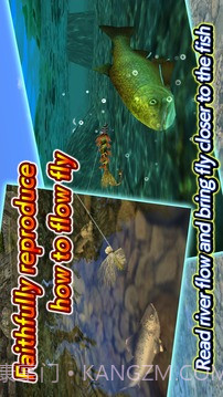 Fly Fishing 3D II截图4 Fly Fishing 3D II截图4