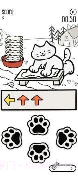 猫猫洗衣截图3