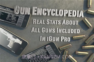 爱枪支 修改版截图2