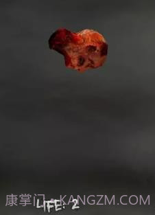 非人果截图4 非人果截图4