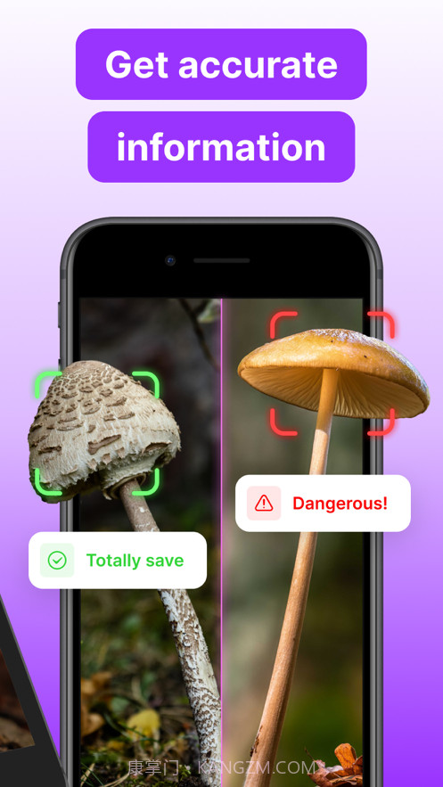 蘑菇标识符截图2 蘑菇标识符截图2