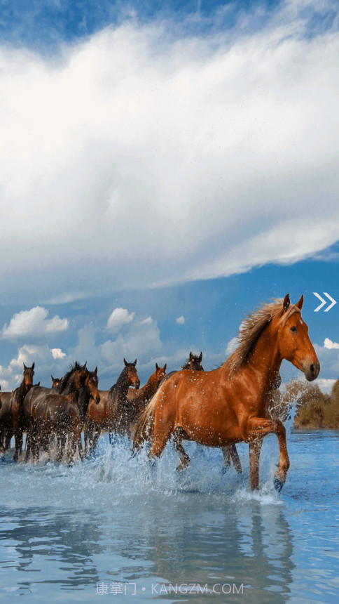 昭苏好地方截图3