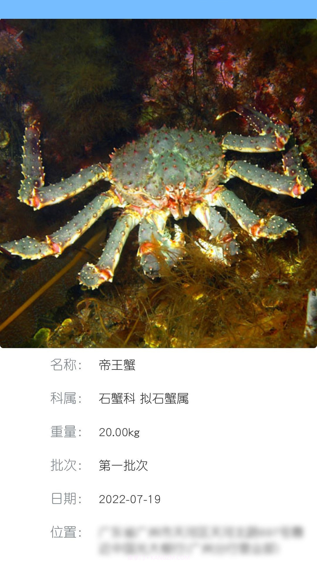 南海天然海鲜商家截图1