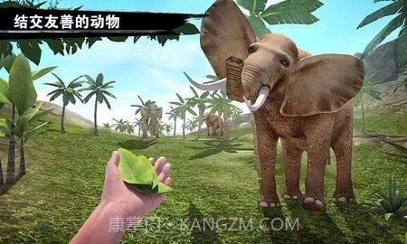 求生岛之旅截图3 求生岛之旅截图3