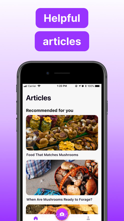 蘑菇标识符截图3 蘑菇标识符截图3