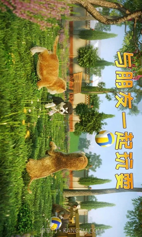 小猫历险记截图4 小猫历险记截图4