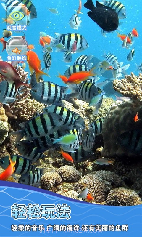 假装鱼缸模拟器截图2 假装鱼缸模拟器截图2