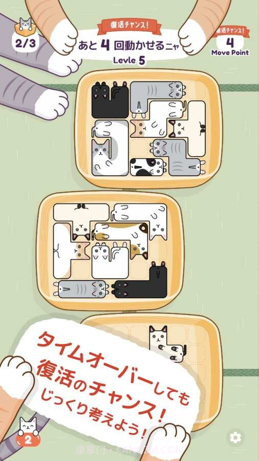 猫猫盒截图3 猫猫盒截图3