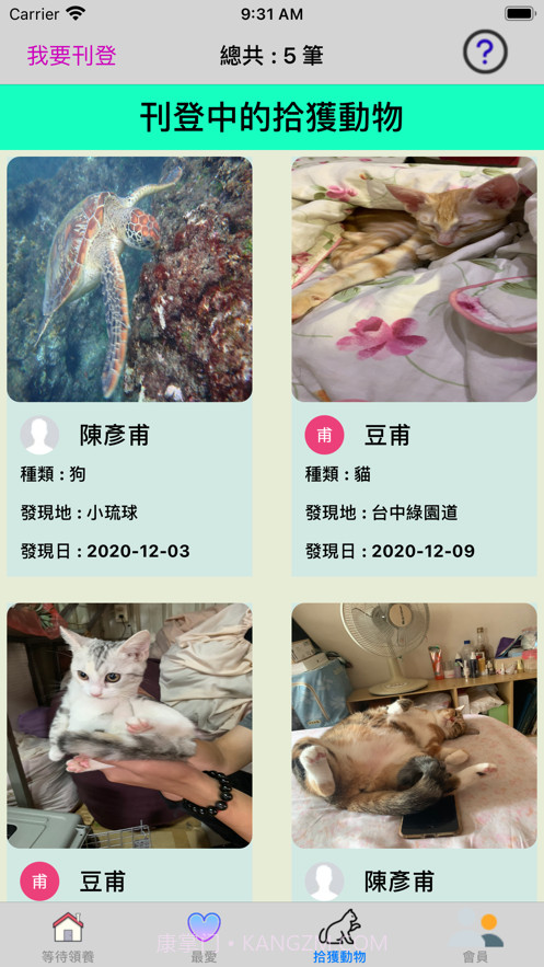 帮它找个家截图2