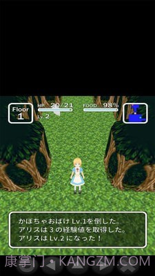 爱丽丝与不思议的迷宫截图5 爱丽丝与不思议的迷宫截图5