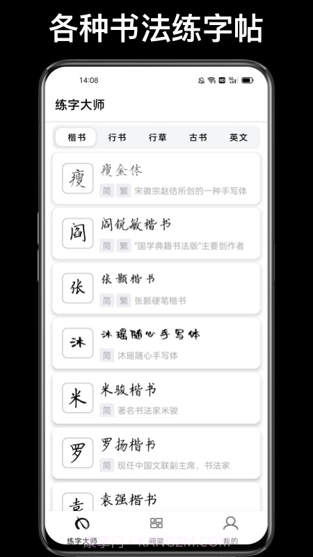 练字临帖大师截图4