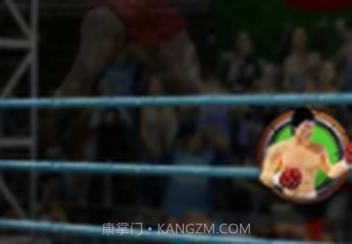 拳击明星赛截图4