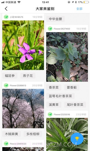 花伴侣截图2 花伴侣截图2