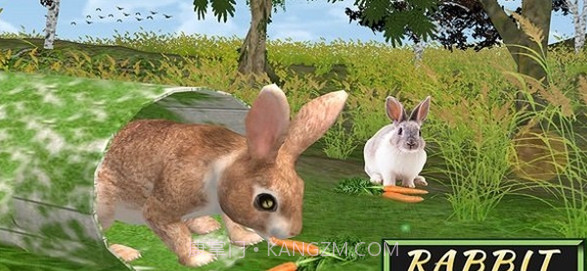 兔子模拟器截图3 兔子模拟器截图3