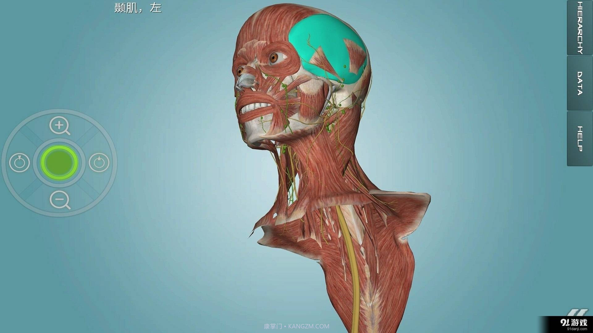 人体解剖学图集截图1 人体解剖学图集截图1