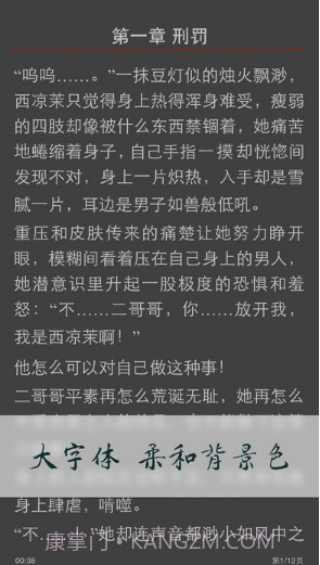 小说连载阅读截图4