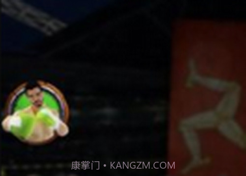 拳击明星赛截图3