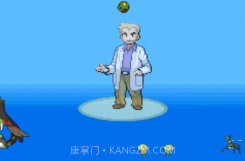 口袋妖怪金属红截图2