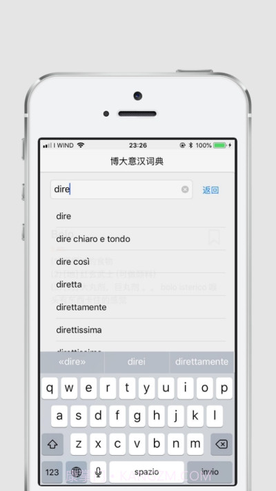博大意汉词典截图2 博大意汉词典截图2