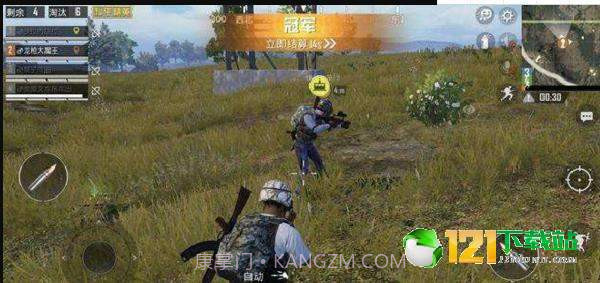 和平精英落尘骁龙透色助手app截图1