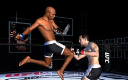 UFC终极格斗冠军截图3 UFC终极格斗冠军截图3