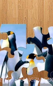 企鹅拼图游戏截图1 企鹅拼图游戏截图1