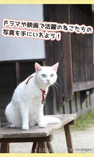 与玉之丞一起截图4 与玉之丞一起截图4