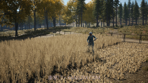 中世纪王朝免费版截图5