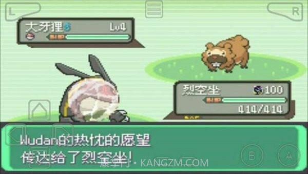 口袋妖怪:绿宝石802截图2 口袋妖怪:绿宝石802截图2