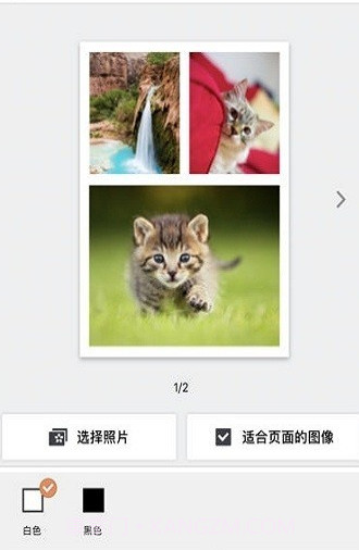 SELPHY Photo Layout截图1