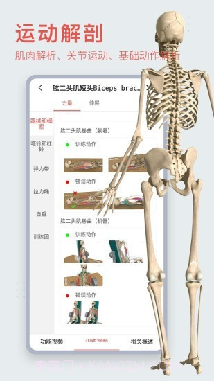 3Dbody艺用截图1