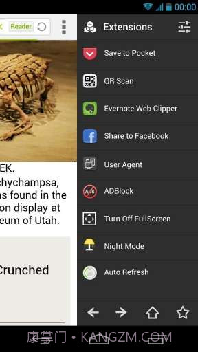 Next浏览器截图4