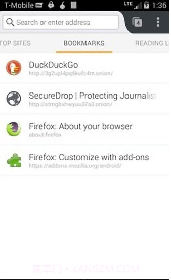 Orfox中文版截图3