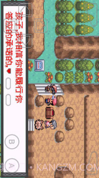 口袋妖怪暗兽神截图3