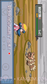 口袋妖怪暗兽神截图4