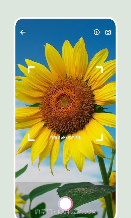 识别花截图3 识别花截图3