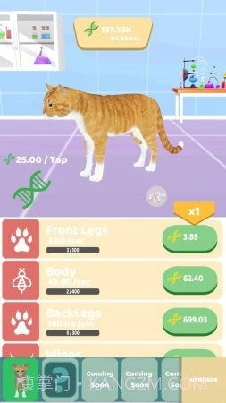 动物进化实验截图3