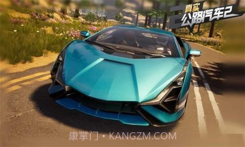 真实公路汽车2截图1