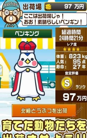 北极动物园手机版截图4