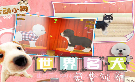 我的心动小狗截图3