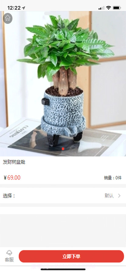 招财树截图2 招财树截图2