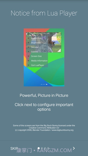 Lua Player Pro(Lua多媒体播放器)V1.4.7 安卓汉化版截图2