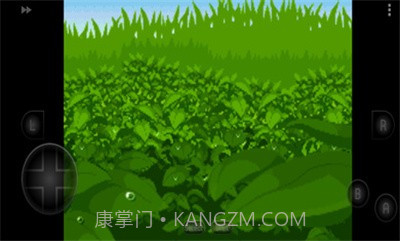 口袋妖怪四季之约截图2 口袋妖怪四季之约截图2